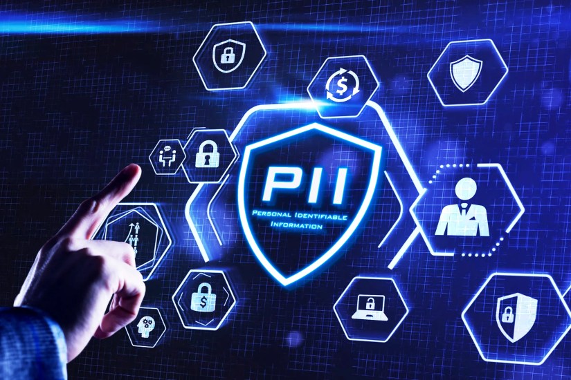 A hand with a finger pointing towards a shield with the text &lsquo;PII&rsquo;.