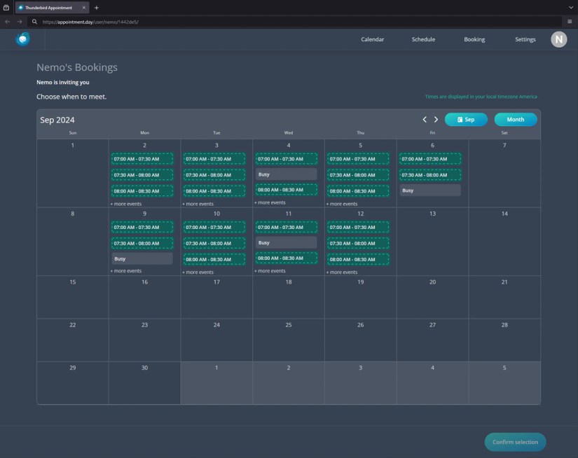 Screenshot of a calendar with appointment bookings.