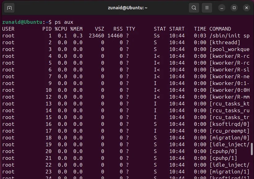 Displaying all Linux processes with details using the &lsquo;ps aux&rsquo; command.