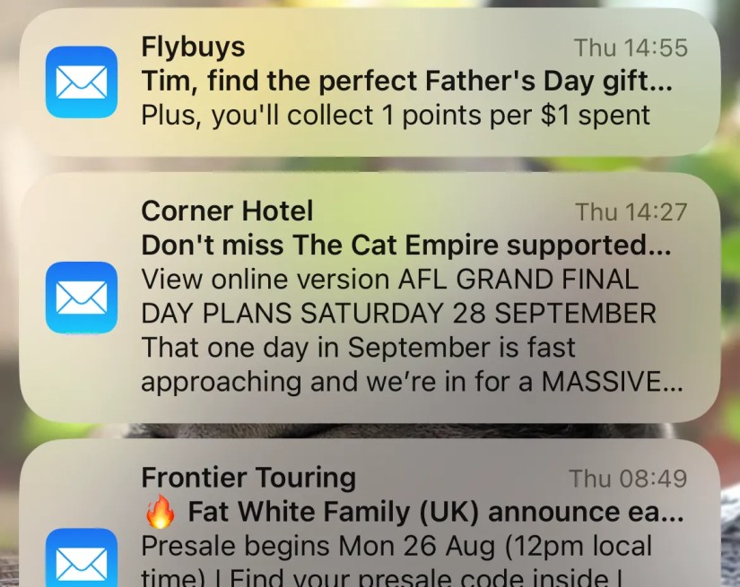 Apple Mail unread message notifications.