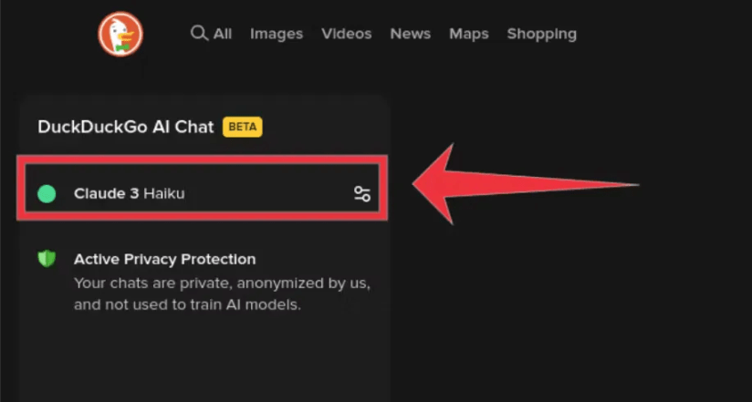 Selecting an AI model in DuckDuckGO cropped