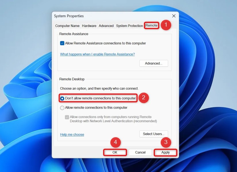 Various options highlighted in the &lsquo;Remote&rsquo; tab of the &lsquo;System Properties&rsquo; window.