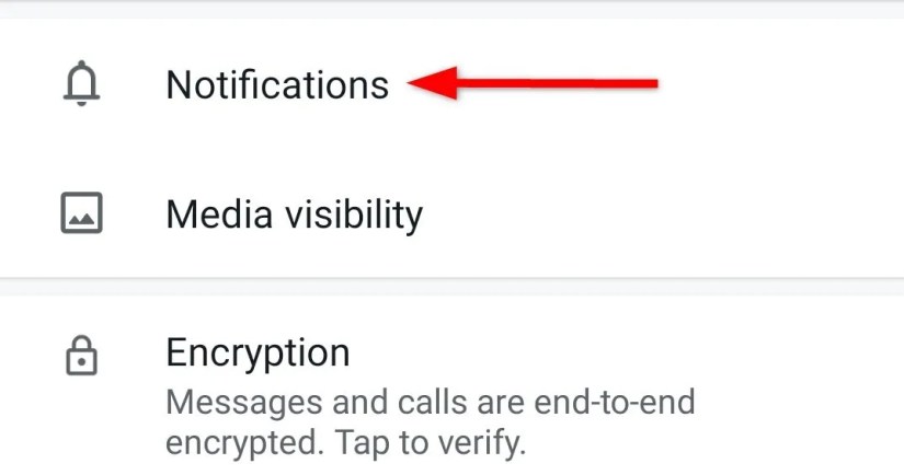 Locating &lsquo;Notifications&rsquo; option in chat contact details.
