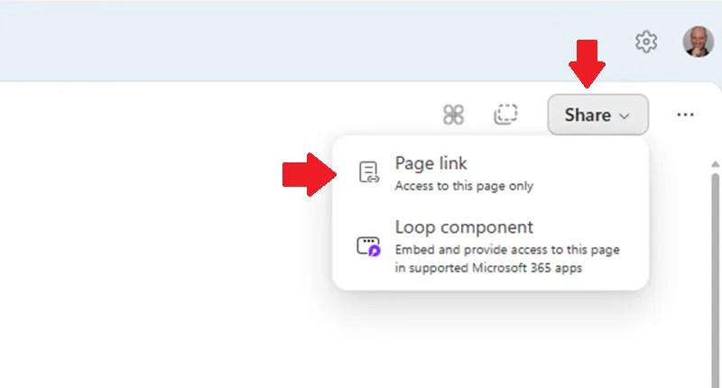 Click the &lsquo;Share,&rsquo; button, then select &lsquo;Page Link.'