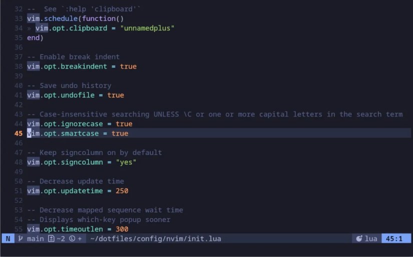 Screenshot of clipboard and indenation options in the Neovim config