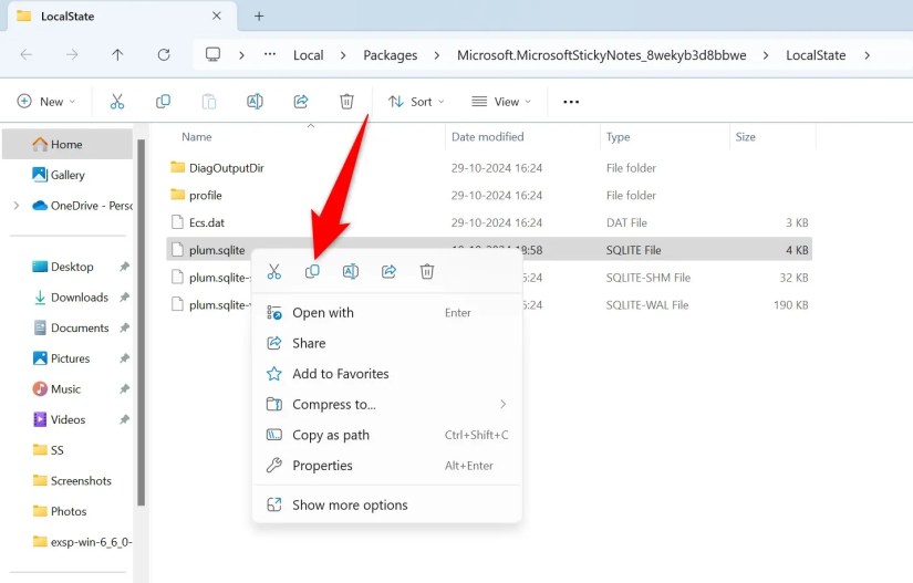 &lsquo;Copy&rsquo; highlighted for plum.sqlite in File Explorer.