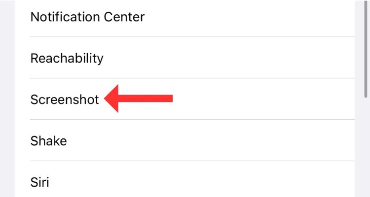 Screenshot of the Back Tap options with an arrow next to Screenshot.