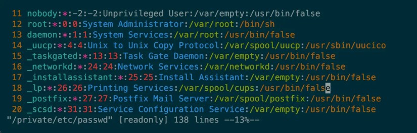 Example content from the Linux /etc/passwd file shows one record per line with each field separated by a colon character.