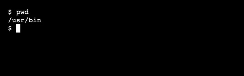 The linux pwd command run with no operands.