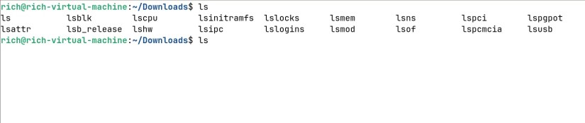 Tab auto complete commands in Linux.