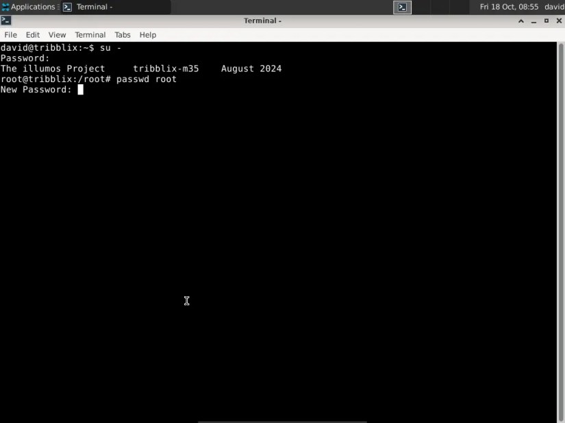 Running the passwd command in Tribblix in the Xfce terminal.