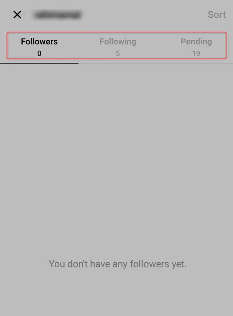 Threads app open and &ldquo;Following&rdquo;, &ldquo;Followers&rdquo;, and &ldquo;Pending&rdquo; being highlighted on screen.