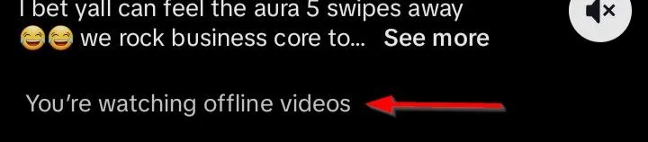 Text that reads &lsquo;You&rsquo;re watching offline videos&rsquo; at th ebottom of the screen