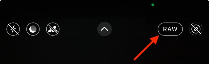 RAW toggle in iOS Camera app.