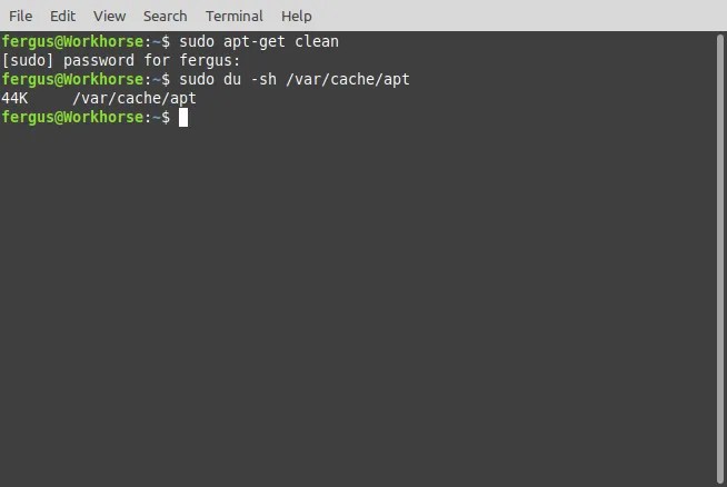Picture of the terminal output when cleaning the Ubuntu cache.