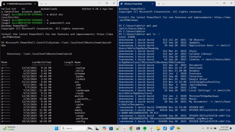 Running Windows and Linux commands together in WSL and PowerShell windows.