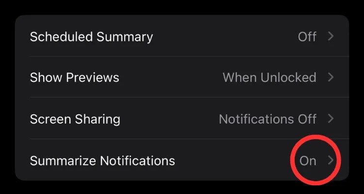 Screenshot of the iPhone&rsquo;s Notifications menu highlighting the Summarize Notifications toggle.