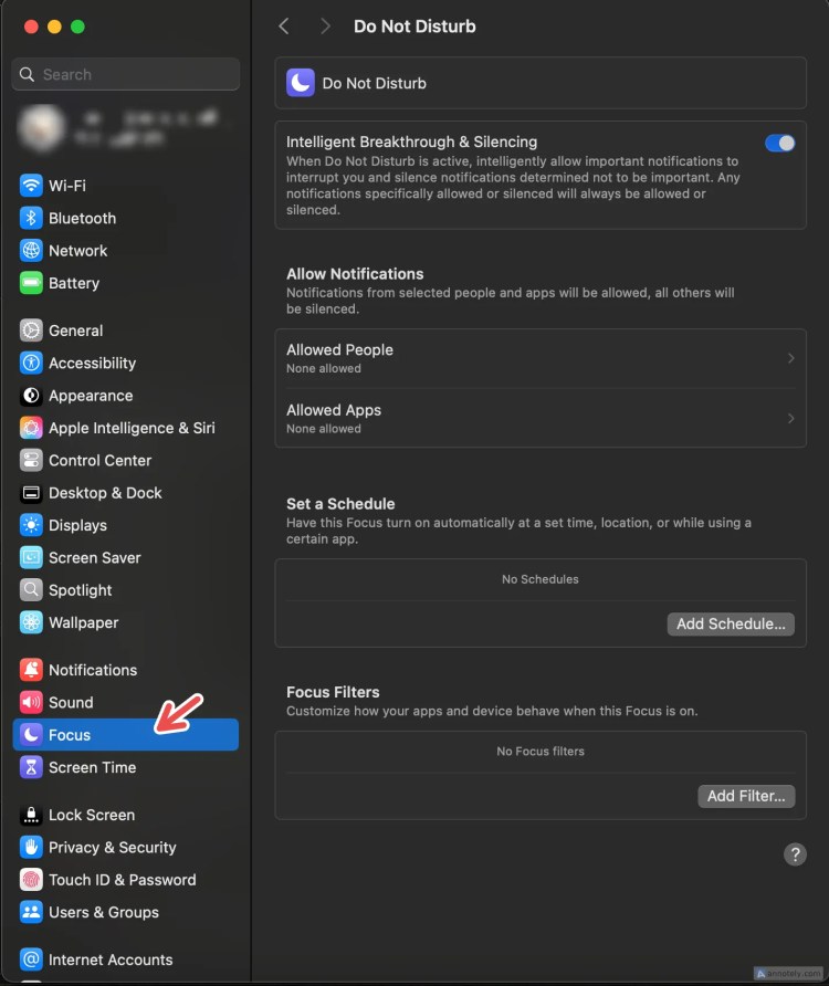 Using a Focus mode on Mac.