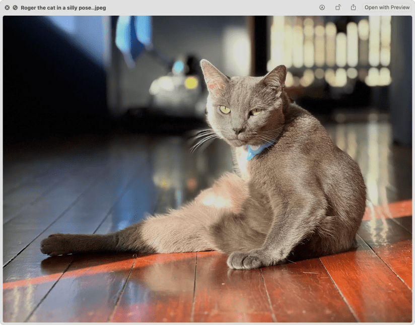 Opening a JPEG photo in Quick Look.