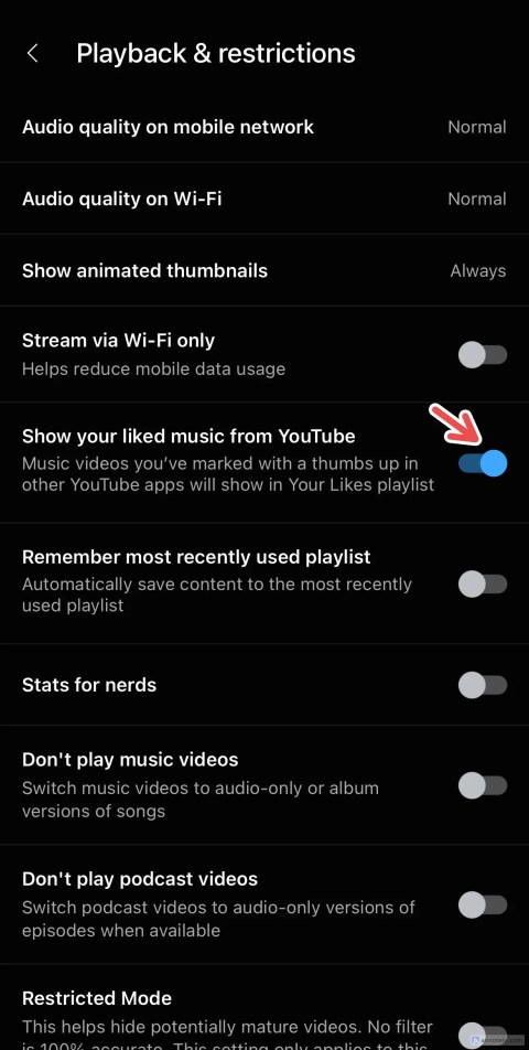Linking YouTube Music to YouTube&rsquo;s liked songs.