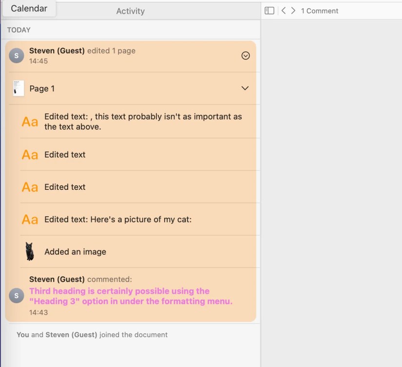 A list of changes recorded in a Pages document.