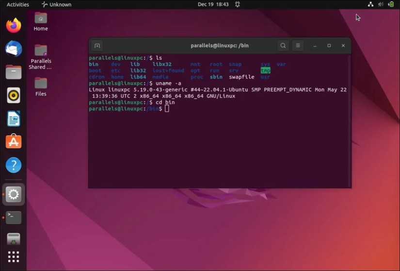 A screenshot showing the Ubuntu terminal and the output from several basic commands.