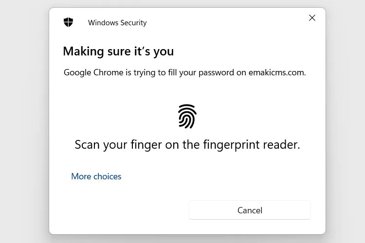 A Windows Hello prompt to verifying identity.