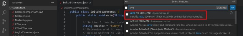 VSCode container configuration with option to install Java JDK