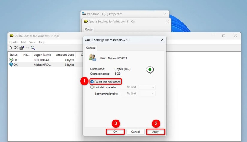 &ldquo;Do Not Limit Disk Usage,&rdquo; &ldquo;Apply,&rdquo; and &ldquo;OK&rdquo; highlighted on the Quota Settings window.