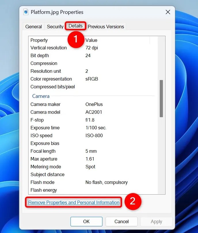 &ldquo;Details&rdquo; and &ldquo;Remove Properties and Personal Information&rdquo; highlighted on a photo&rsquo;s &ldquo;Properties&rdquo; window.