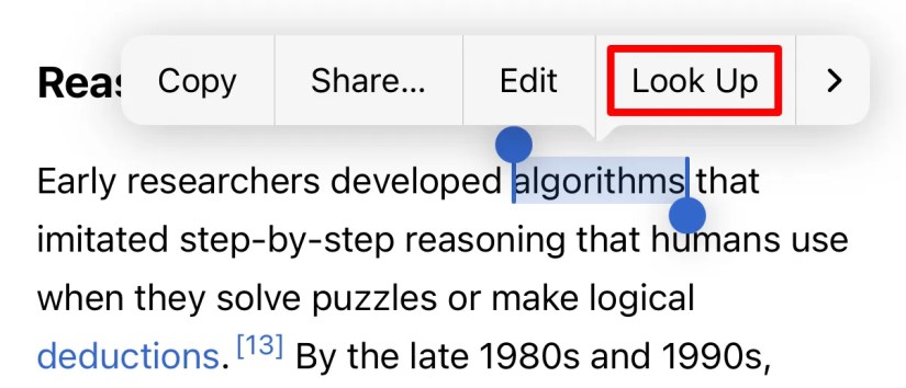 &lsquo;Look Up&rsquo; feature in iPhone context menu.