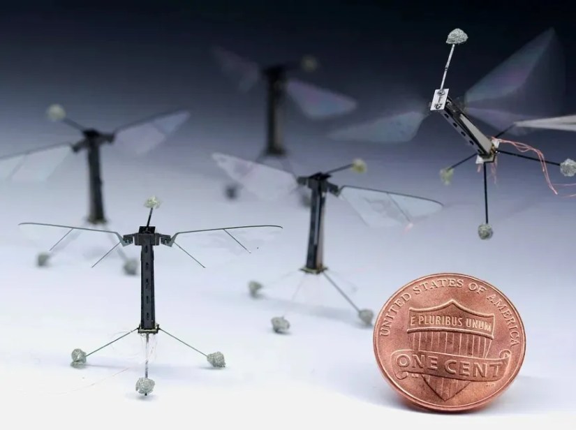 Several Robobees next to a one cent coin for scale.