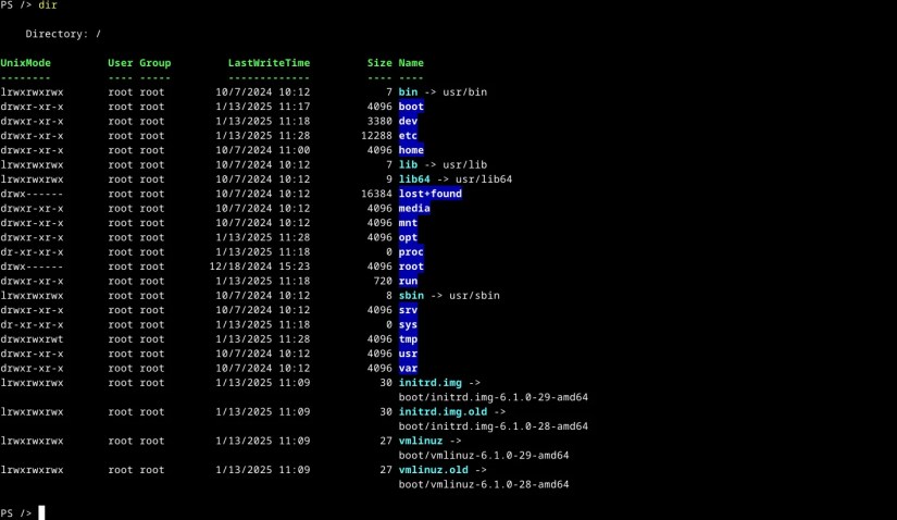 Powershell directory listing on Linux with dir command.