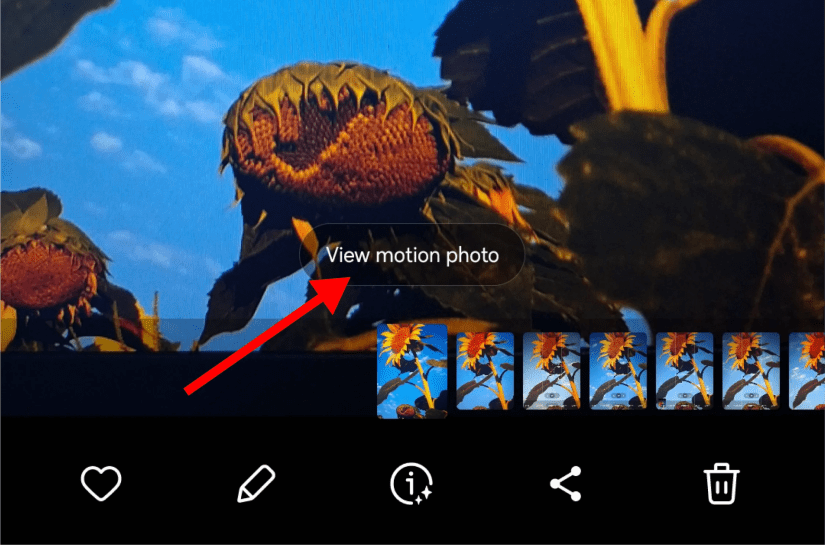 The &lsquo;View Motion Photo&rsquo; button in the Gallery app.