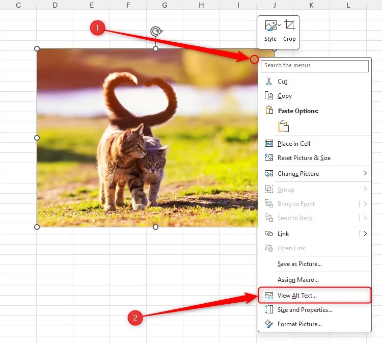 A Microsoft Excel sheet with an image&rsquo;s right-click menu opened, and View Alt Text selected.
