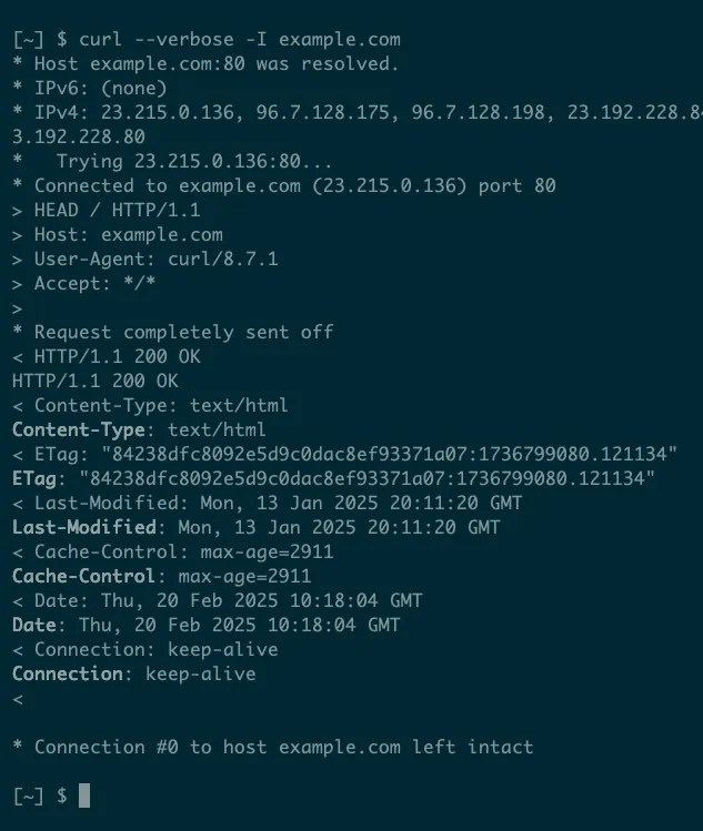 Output from curl with the &ndash;verbose and -I options to show both response and request headers.