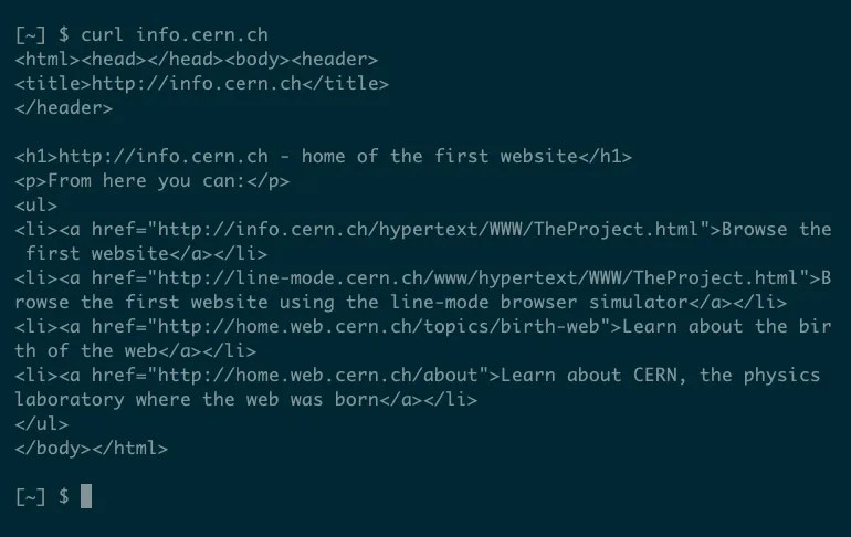 The output from a simple curl request showing HTML source.