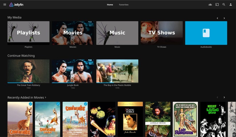 The UI of Jellyfin&rsquo;s demo page showing its app layout.