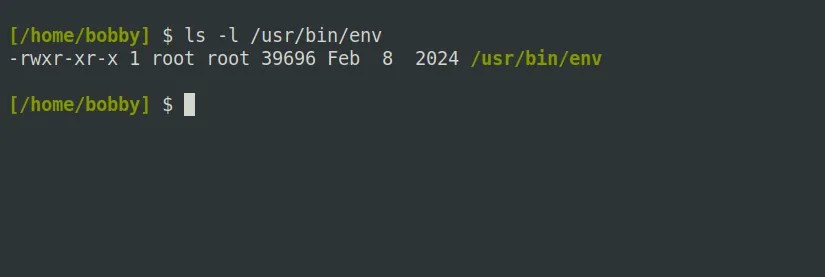 The Linux ls command, with the -l option, shows a file&rsquo;s permissions at the beginning of each line.