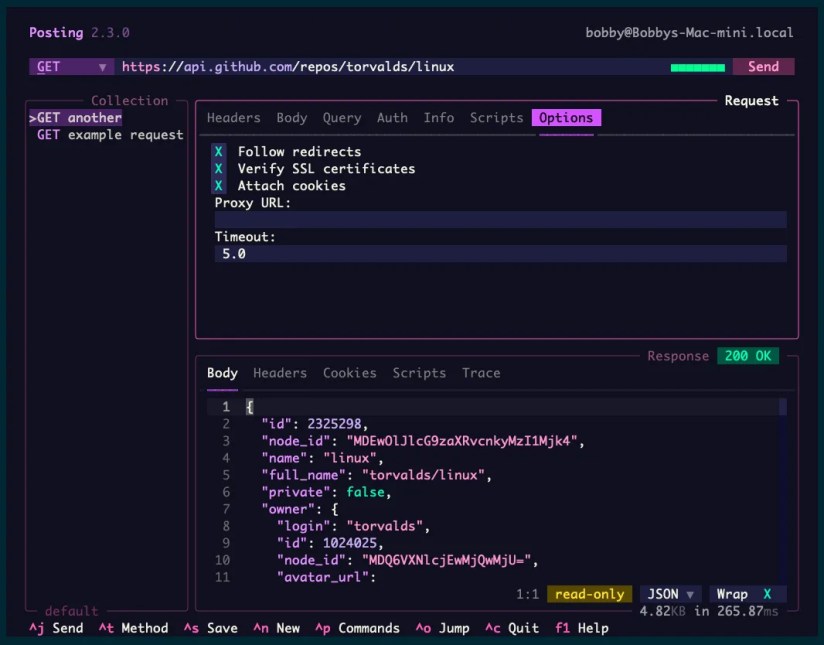 The Posting TUI app shows various settings to control an HTTP request and information about its response.