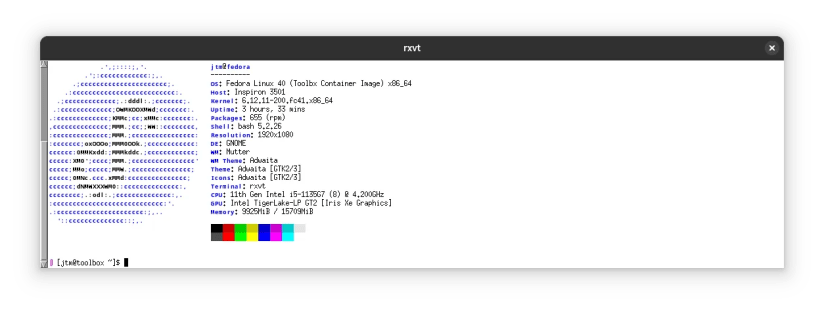 Rxvt terminal showing output from neofetch.