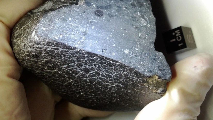 A Martian meteorite nicknamed Black Beauty in the hands of a person.