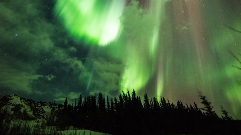 The Northern Lights in the Alaskan sky at night.