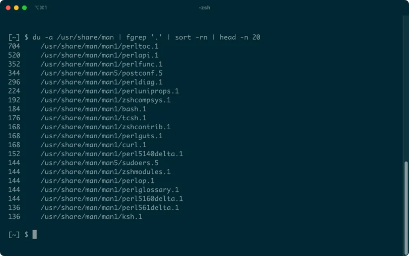 A list of man page files including perltoc.1, perlapi.1, perlfunc.1, and bash.1.