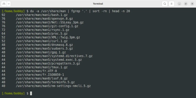 A list of man page files including bash.1.gz, openvpn.8.gz, git-config.1.gz, and proc.5.gz.