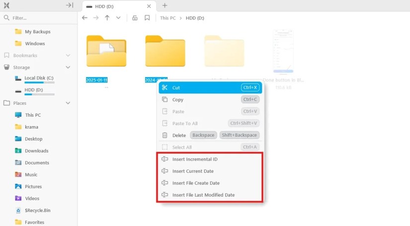 Rename options in the File Pilot context menu.