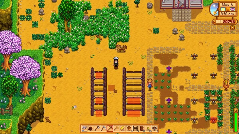 A player standing in front of a series of gates on their farm in Stardew Valley.