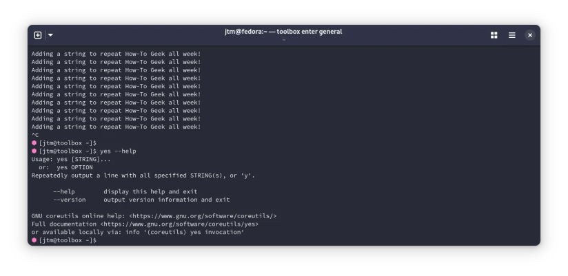 Output from the yes command in a Linux terminal.