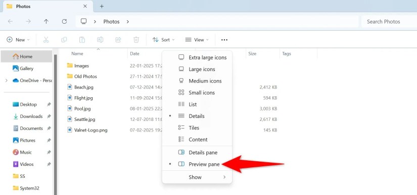 View &gt; Preview Pane highlighted in File Explorer.