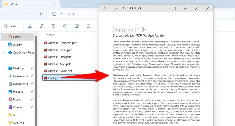 A PDF file&rsquo;s preview in QuickLook.